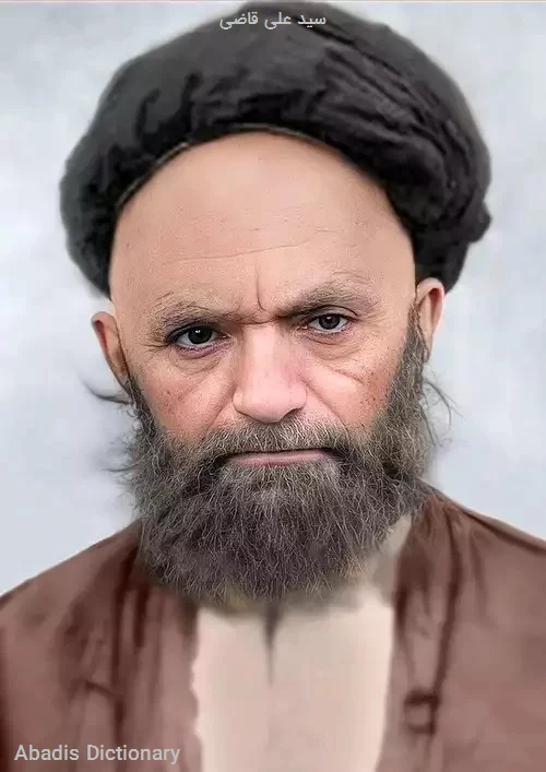 سید علی قاضی